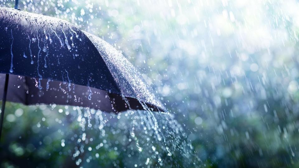 خلال 48 ساعة الماضية...كميات الأمطار تبلغ 105 ملم ببني مطير من ولاية جندوبة